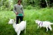 Goat Love 2