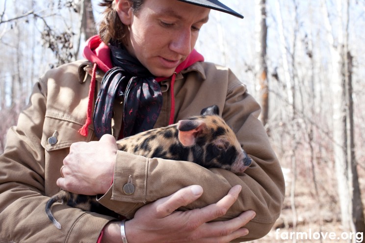 Blake Hall with baby pig in forest stand on farmland in Red Deer, Alberta. Blake practices holistic management. These pigs spend time in a forest stand helping to root up the forest floor, decompose the woody debris, turn up the soil, fertilize the land, and germinate native species. Blake will move them through the area so that they don't spend too much time in any one spot and so that the ecology benefits the most possible from its interactions with these land stewards.