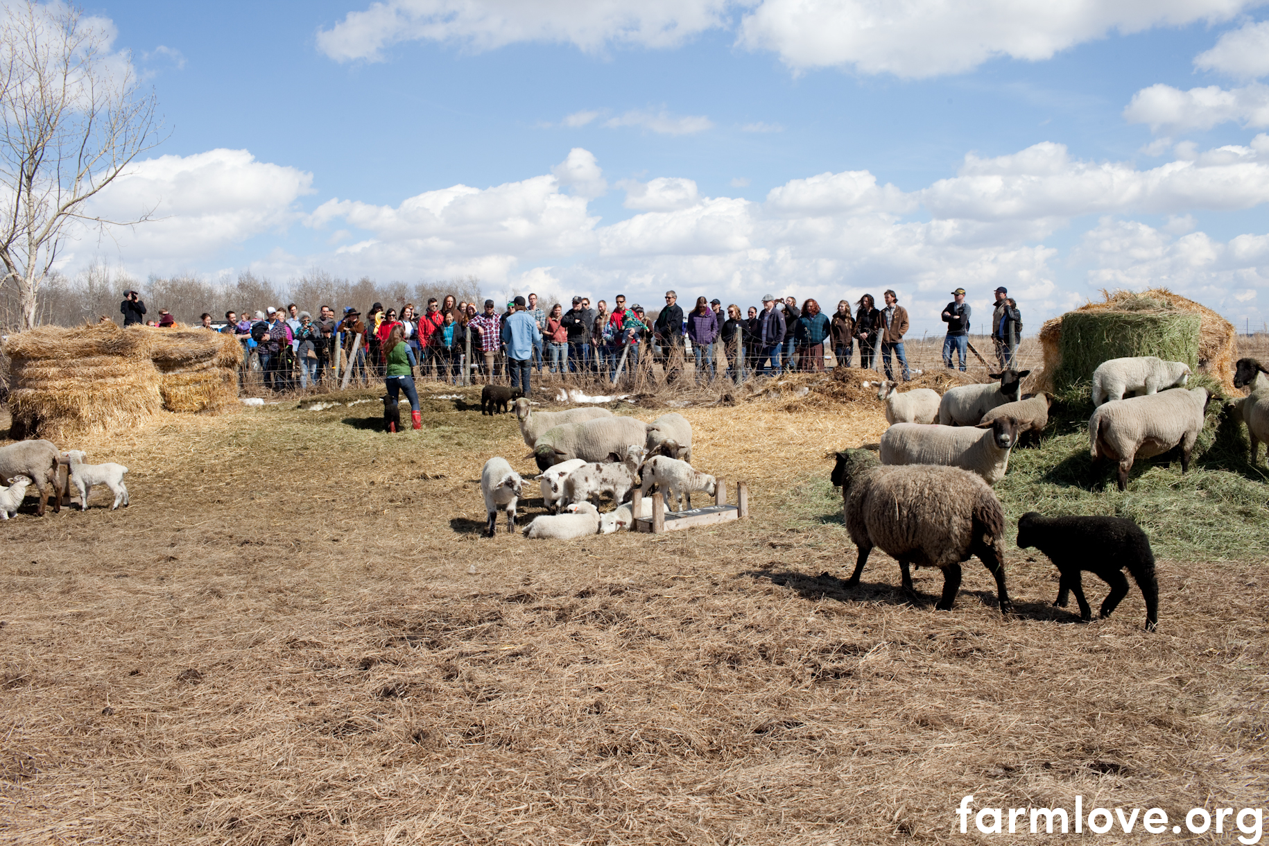 REGENERATE THE LAND